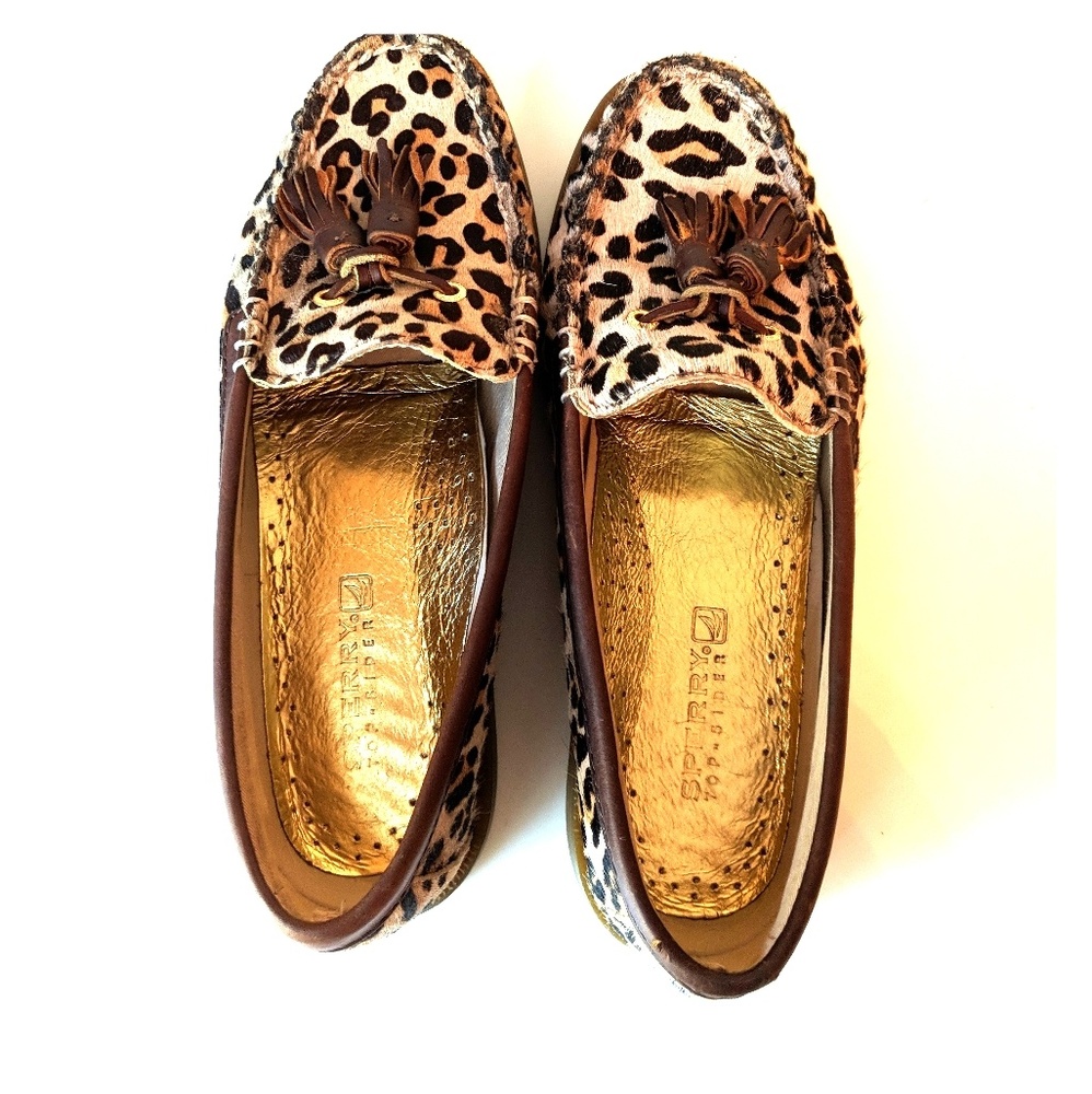 Sperry top sider